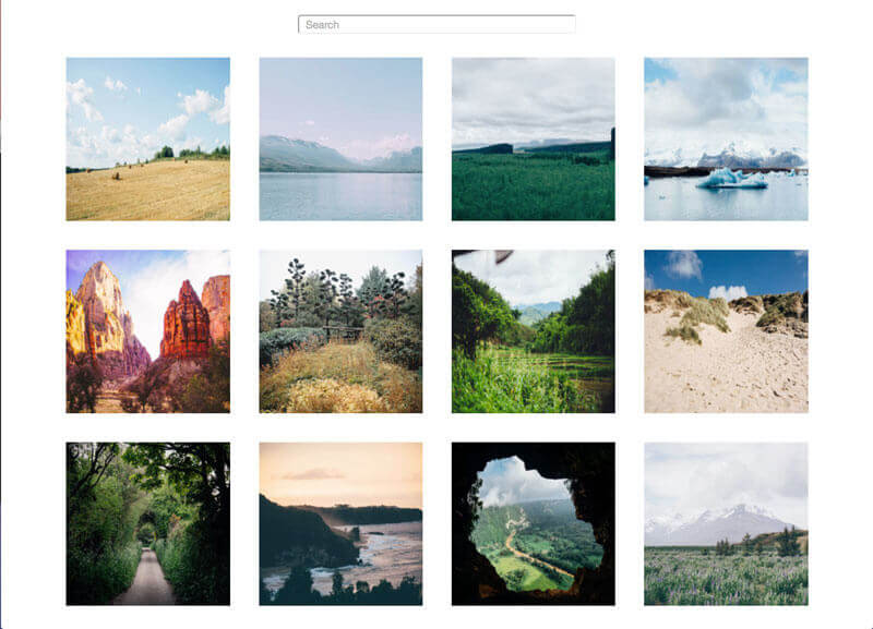 Photo Gallery Search
